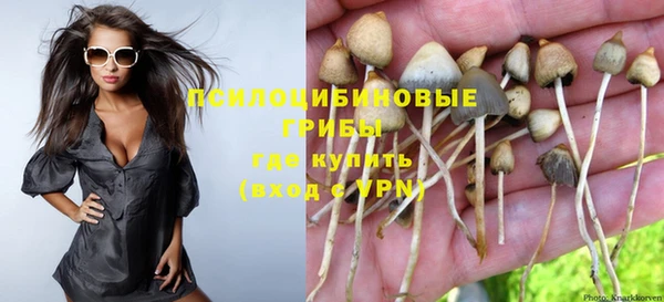экстази Горняк