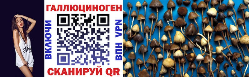 купить закладку  дарк нет как зайти  Псилоцибиновые грибы мухоморы  Знаменск 