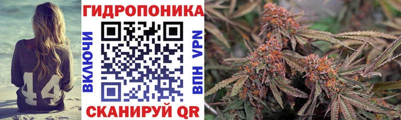 купить наркотики сайты  Знаменск  Бошки Шишки тримм 